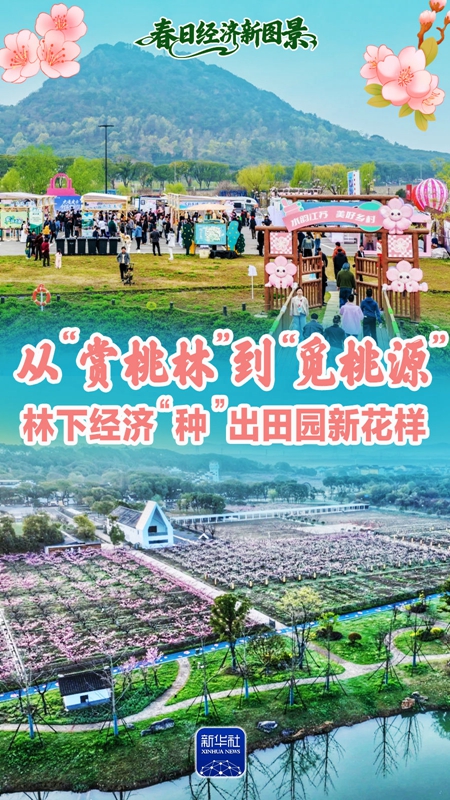 XxjnzxC000010_20260402_CBMFN0A006