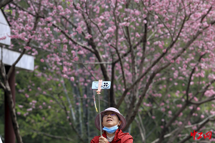 resize，w_1280 拷贝