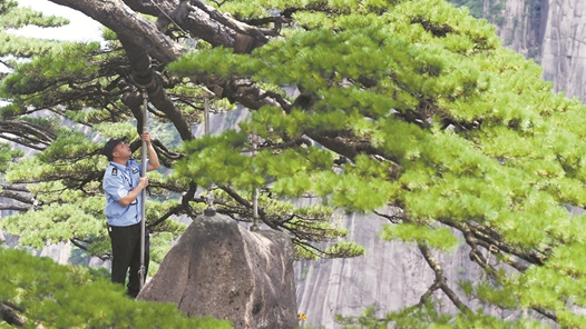 思政引领聚合力 凝心铸魂担使命｜安徽：“云讲述”岗位思政课“永不落幕”