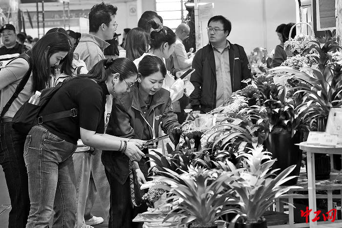 3401427_tpzz_1776060434166_b