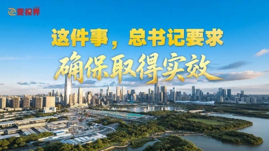 壹视界·时习新语｜这件事，总书记要求确保取得实效
