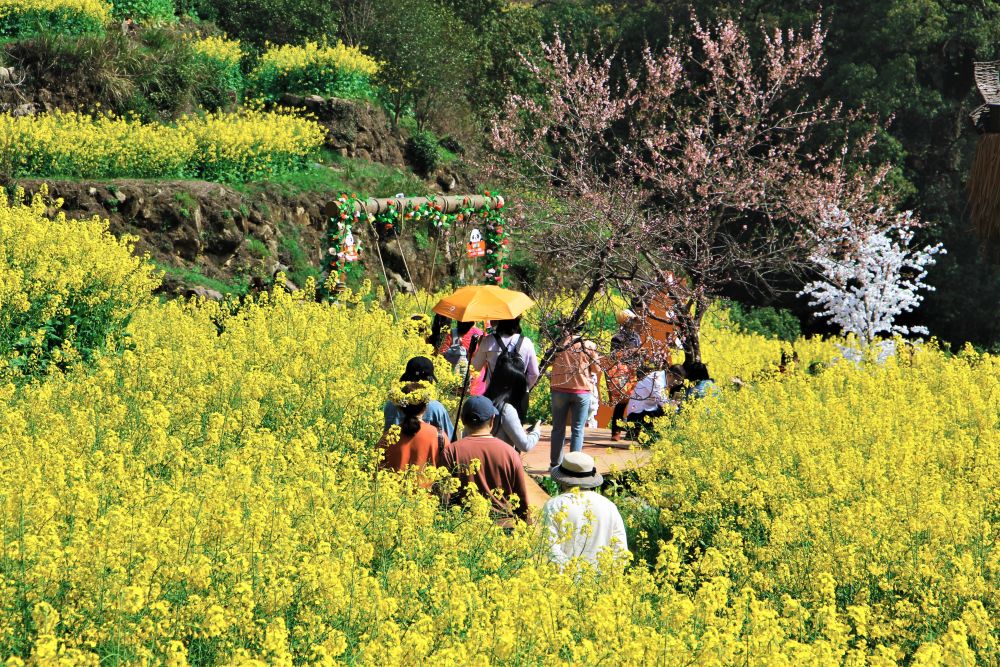 20260415_210154_003 20260415_210154_003