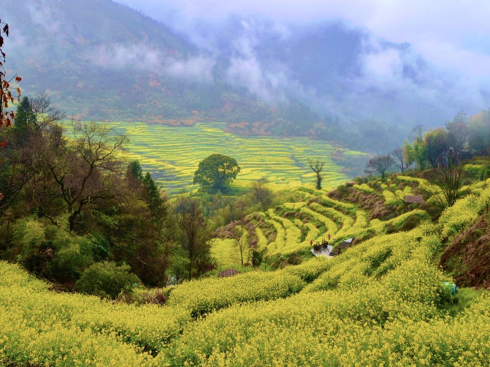 20260415_210154_004 20260415_210154_004