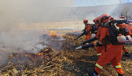 黑龙江：消防森工联合演练 多方联动响应实战