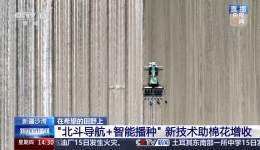 视频丨误差不到万分之一！播种用上北斗导航效率翻倍