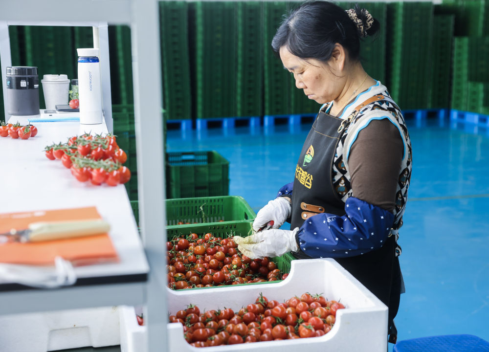 XxjdzbC000087_20260417_CBMFN0A003