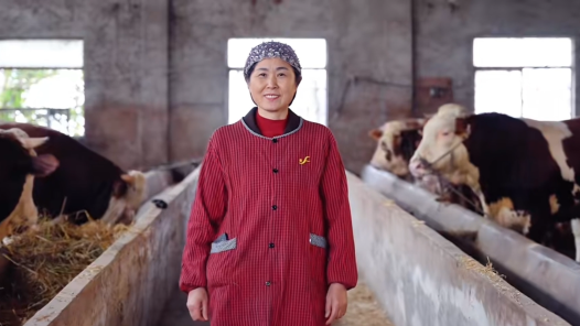 劳模故事·全国劳动模范丨刘琴：从“养牛状元”到“全国劳模”