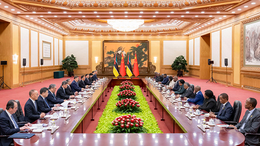 习近平同莫桑比克总统查波会谈