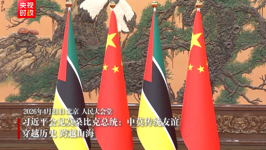 视频｜习近平会见莫桑比克总统：中莫传统友谊穿越历史 跨越山海