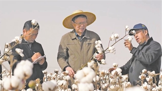 “像棉花根一样深扎土地”——记“新疆最美科技工作者”田立文