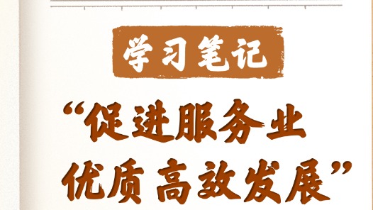 学习笔记丨“促进服务业优质高效发展”