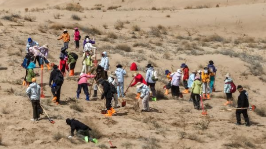 跨越山海种树护绿