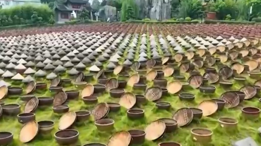 “小城游”热度持续攀升、出入境旅游双向升温 “五一”文旅市场蓄势待发