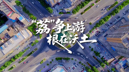 “荔”争上游 根在沃土