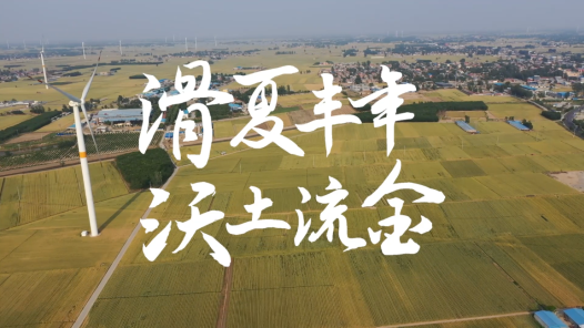 滑夏丰年 沃土流金