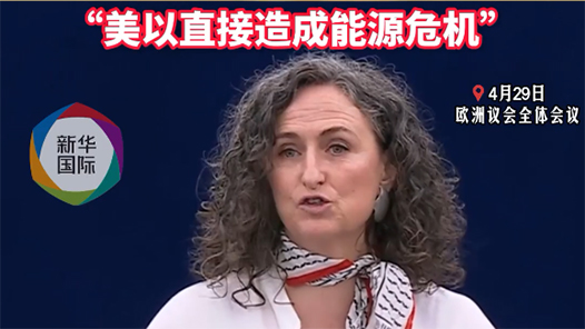 欧洲议员：美国和以色列是全球安全最大威胁