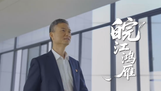 宋武：皖江鸿雁