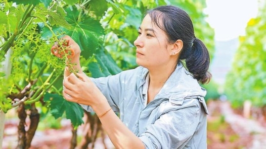 全国五一劳动奖章获得者张丽芬：一把金剪刀 剪出致富路