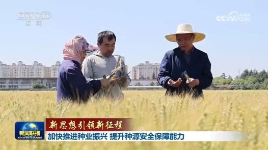 新思想引领新征程丨加快推进种业振兴 提升种源安全保障能力