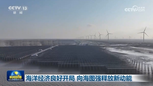 海洋经济良好开局 向海图强释放新动能