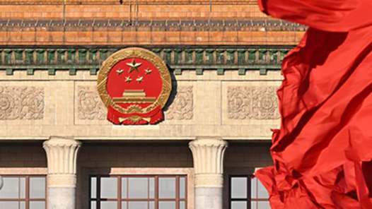 树立和践行正确政绩观｜在真查实改上下功夫