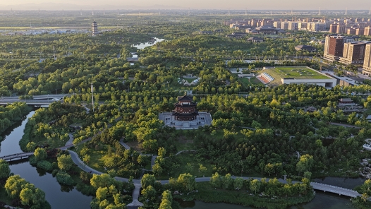 活力中国调研行｜访白洋淀生态治理：一淀清波背后的“黑科技”