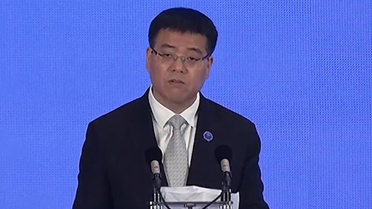 要推动AI深度融入现代产业化体系