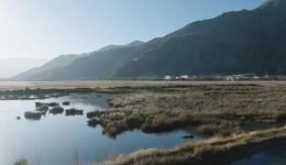西藏拉萨：拉鲁湿地生态保护成效显著