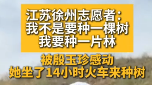 14小时火车从徐州到毛乌素种树