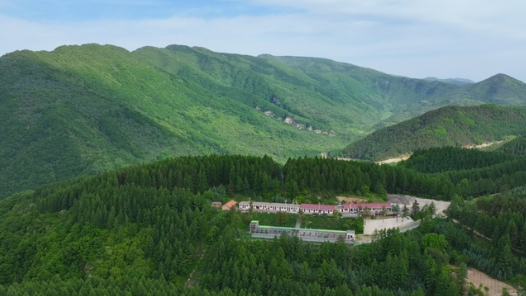 六盘山间听鸟鸣，典农河畔见清波——宁夏生态之变写进寻常生活