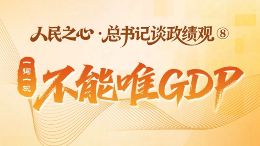 人民之心·总书记谈政绩观｜一词一观：不能唯GDP