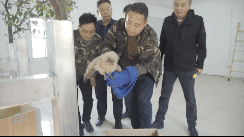 美丽中国行·匠心护青绿 劳动绘山河｜脚步丈量滩涂 匠心护佑飞羽