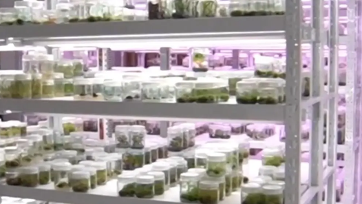 中国西南地区大型真菌资源数据库上线