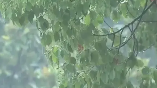 南方地区强降雨持续 内蒙古东部东北华北多阵雨