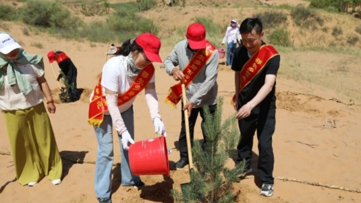 世界环境日，劳模跟着殷玉珍去毛乌素种树