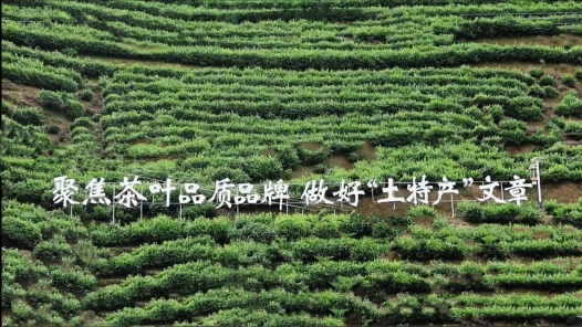 一片叶子催生“多业态”
