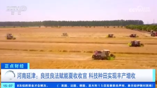 粮食生产从“靠经验”迈向“靠科技” 优质小麦主产区交出夏粮丰产丰收答卷