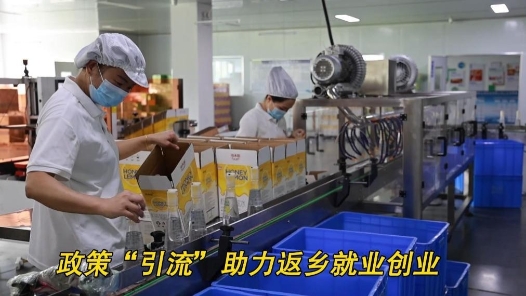 重点群体稳就业｜政策“引流”助力返乡就业创业