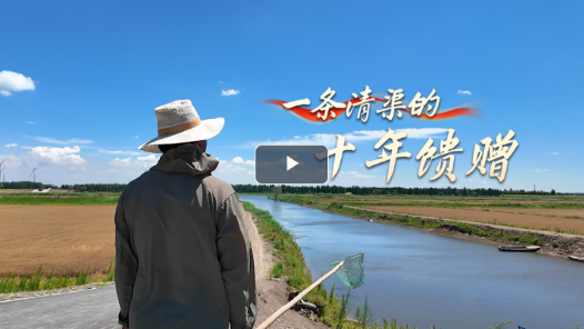 美丽中国行｜从不足万元到6万多元，一条清渠的十年馈赠