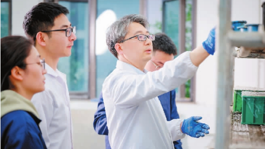 荣辉：给混凝土种下“自愈基因”