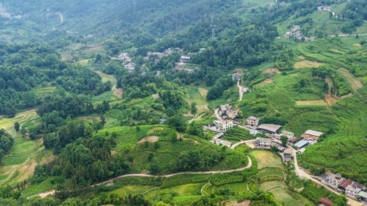 牢记初心使命 奋进复兴征程｜贵州务川：云端卖山货 产业兴乡村