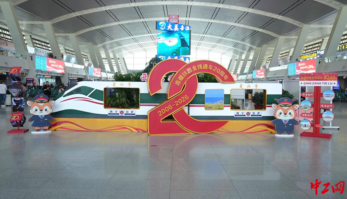 图片2