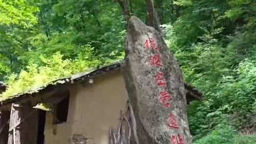 牢记初心使命 奋进复兴征程｜红色沃土变“金山” 百姓端稳“金饭碗”