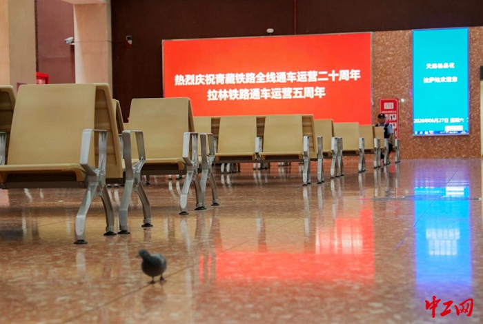 图片9