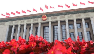 世界读懂中国共产党｜“始终和人民保持着紧密联系”