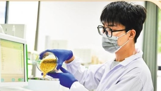 需求引领好粮卖好价