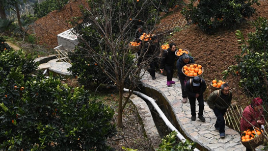 伟大征程｜建党百年：全面建成小康社会，向第二个百年奋斗目标迈进