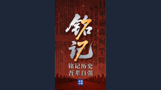 不会忘！不能忘！不敢忘！