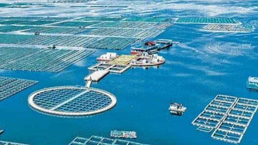 美丽中国行｜耕海牧渔，又是一年丰收时