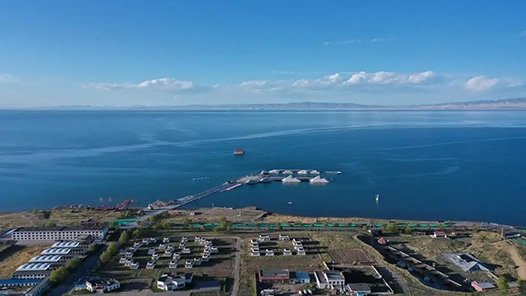 湟鱼见证青海湖生态之变